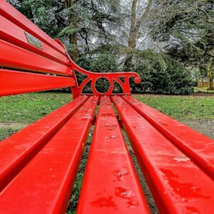 The Bench