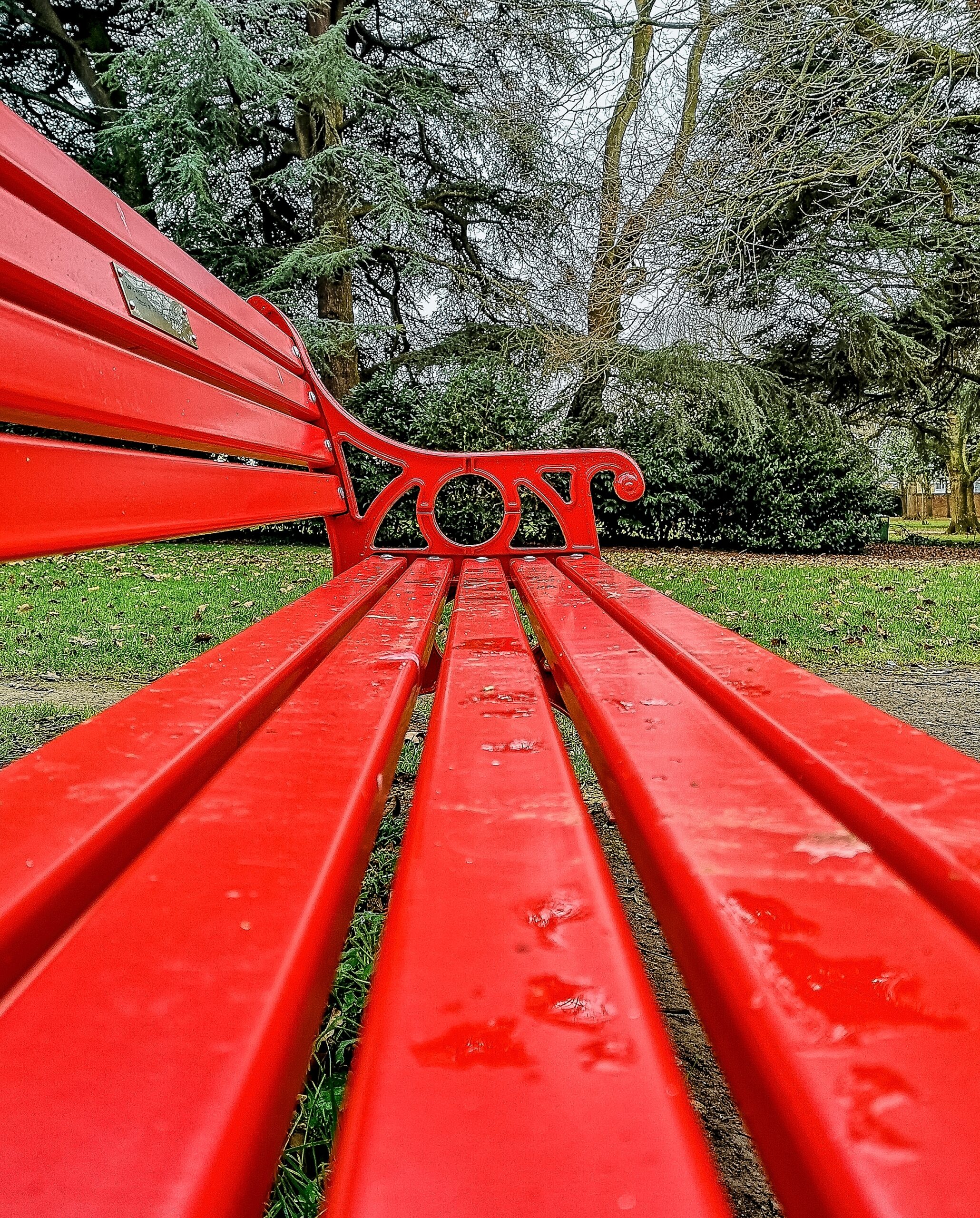Read more about the article Kingsgate Park