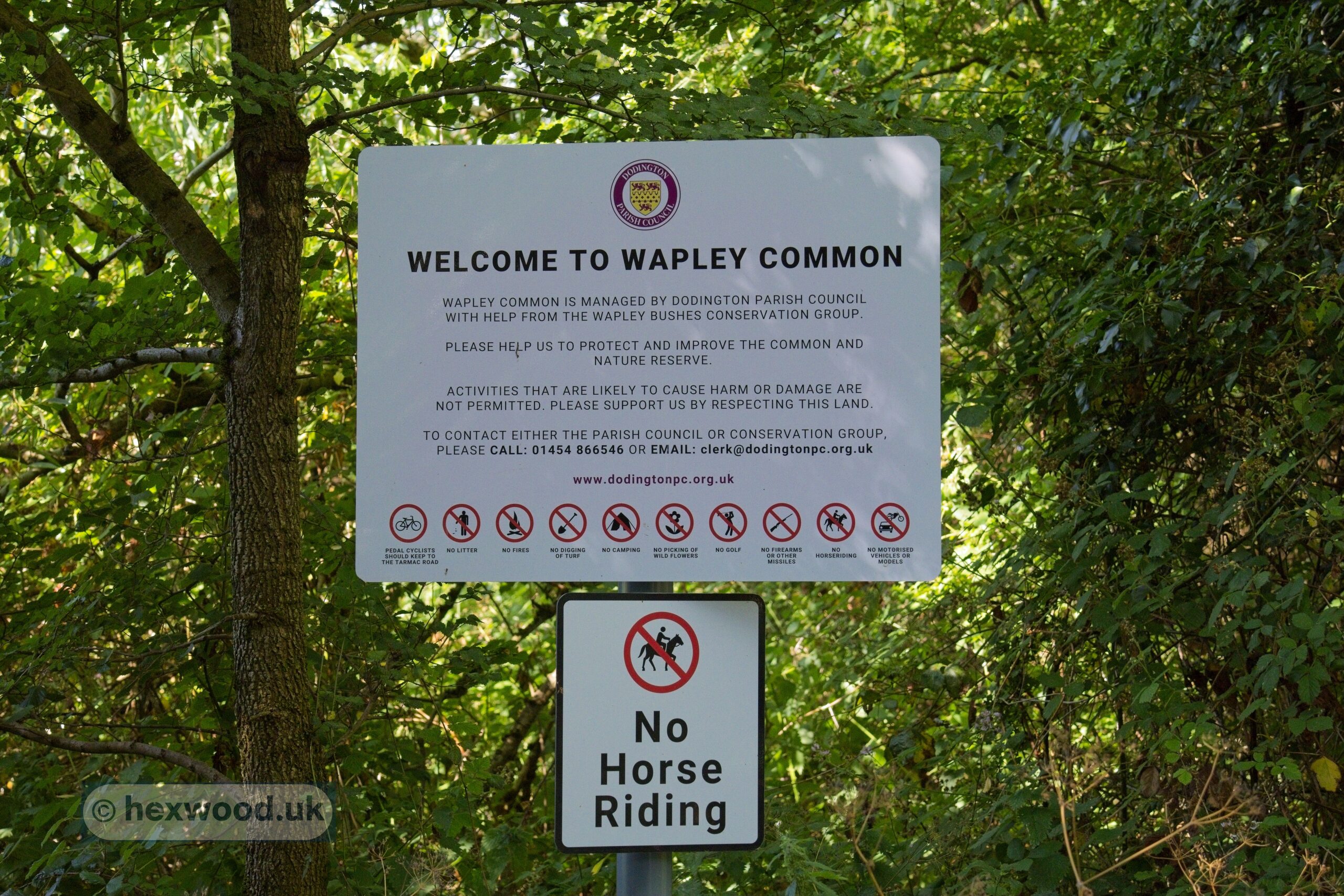 Read more about the article Wapley