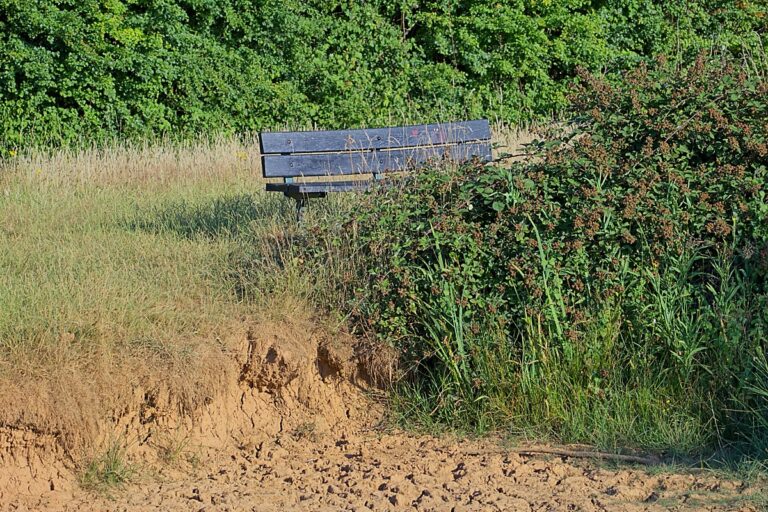 It's been hot and the local pond is very dry