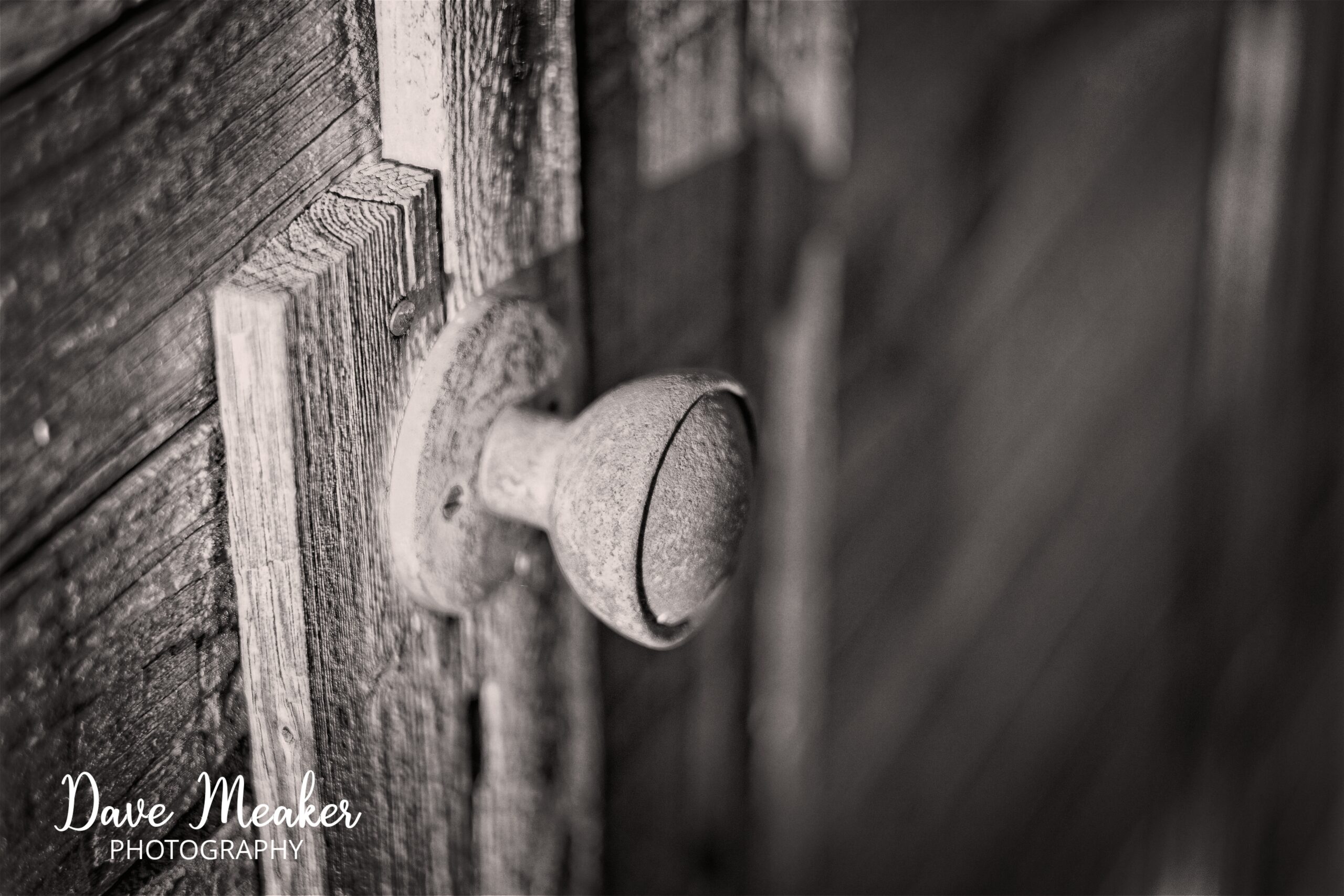 Read more about the article Monochrome